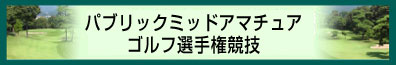 �p�u���b�N�~�b�h�A�}�`���A�S���t�I�茠���Z